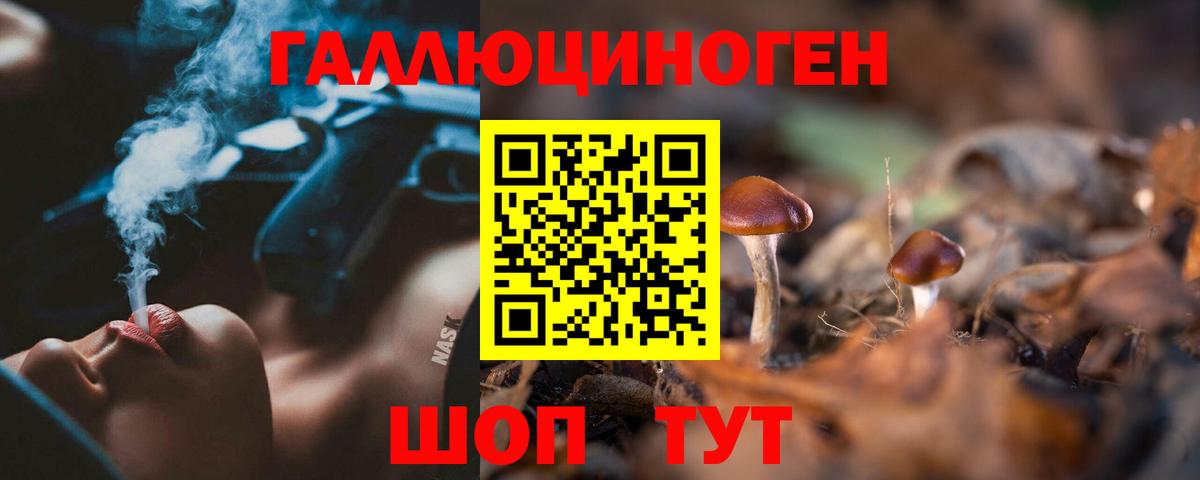 Псилоцибиновые грибы Magic Shrooms  Вход с VPN  Камышин  Псилоцибиновые грибы Psilocybe 